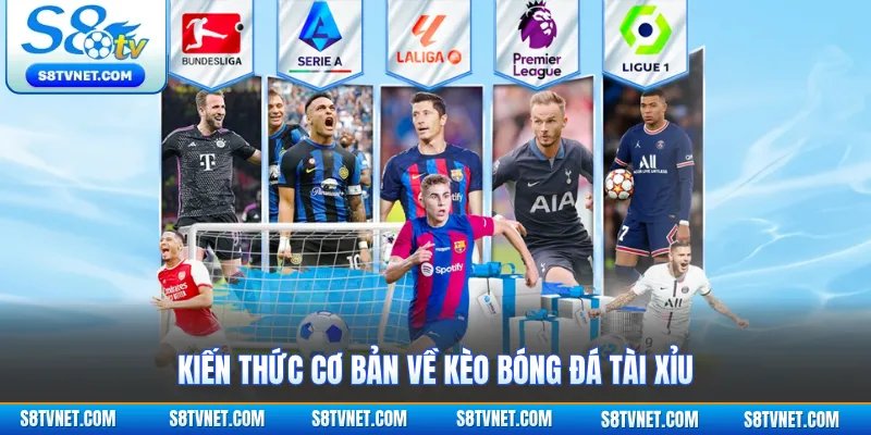 Kiến thức cơ bản về kèo bóng đá tài xỉu